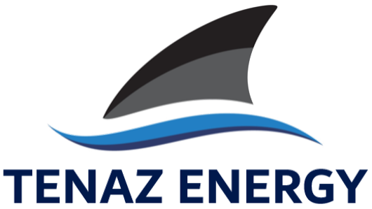 Logo Tenaz-Transparent